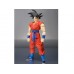 S.H.Figuarts: Dragon Ball Z: Resurrection 'F' - Super Saiyan God Super Saiyan Goku